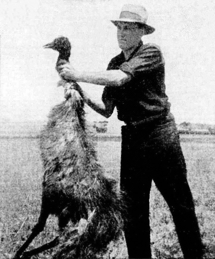 Australian soldiers during the Great Emu War