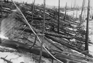 Aftermath of the Tunguska event